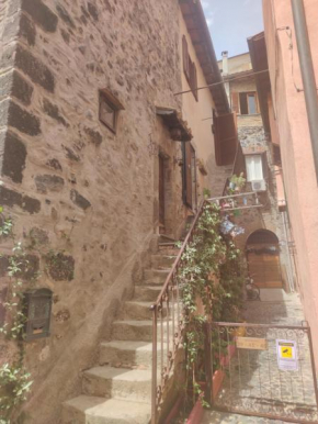 civico 37
